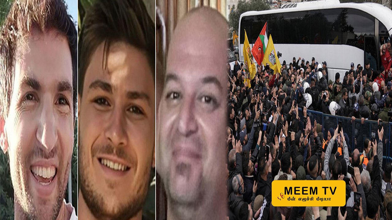 3 பேருக்கு 369 பேர் விடுதலை!